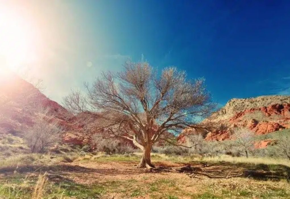 Puede que su pasado haya estado signado por todos los errores imaginables. Le atormentan hoy. Pues bien, cuando usted se acoge al amor y la misericordia del Padre, sus pecados son borrados.