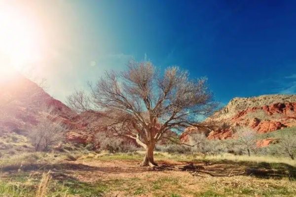 Puede que su pasado haya estado signado por todos los errores imaginables. Le atormentan hoy. Pues bien, cuando usted se acoge al amor y la misericordia del Padre, sus pecados son borrados.