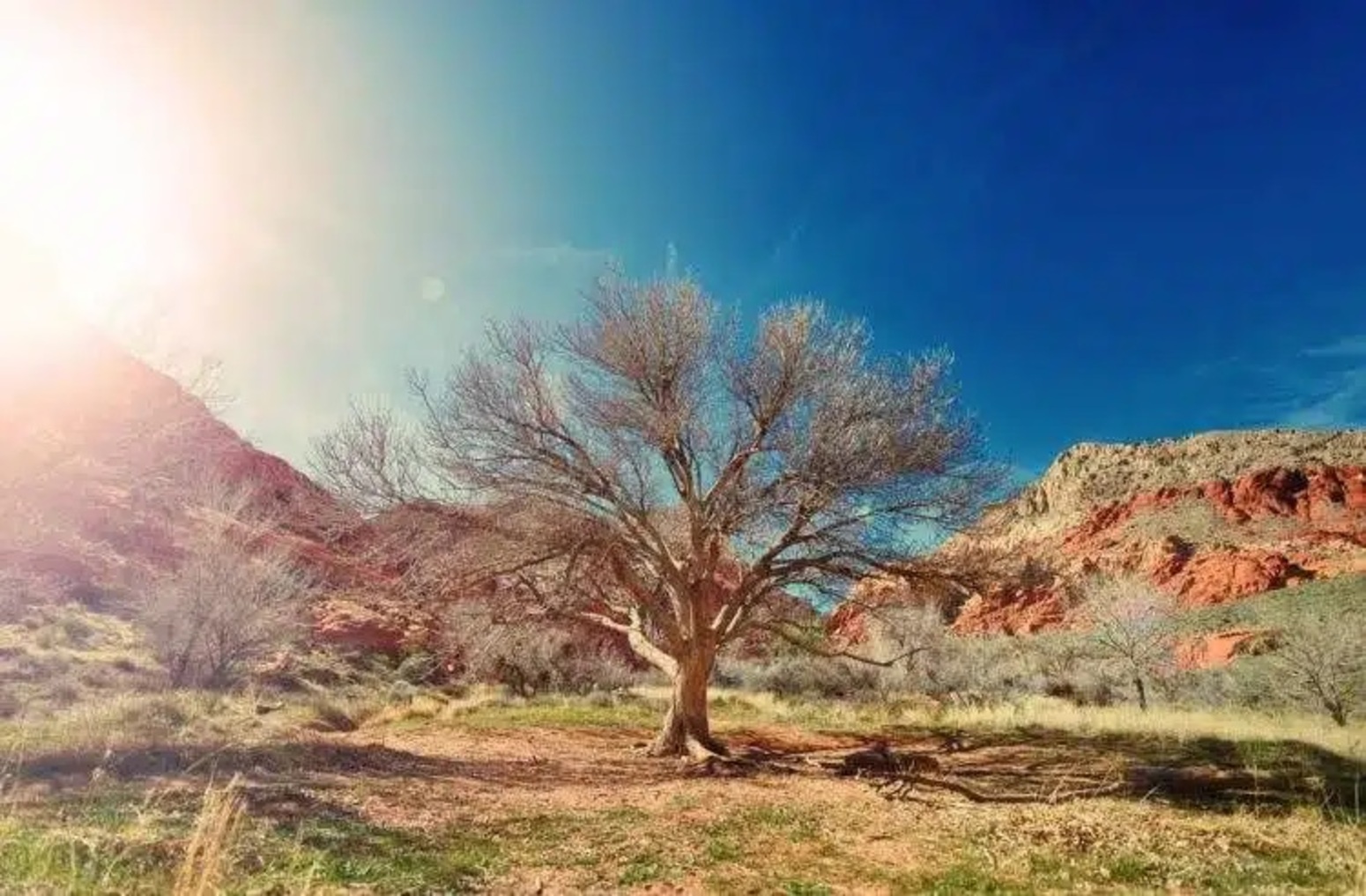 Puede que su pasado haya estado signado por todos los errores imaginables. Le atormentan hoy. Pues bien, cuando usted se acoge al amor y la misericordia del Padre, sus pecados son borrados.